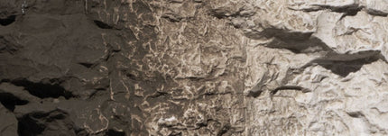 Woodland Scenics 1221 Raw Umber Earth Colors Liquid Pigment
