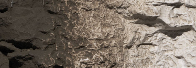 Woodland Scenics 1221 Raw Umber Earth Colors Liquid Pigment