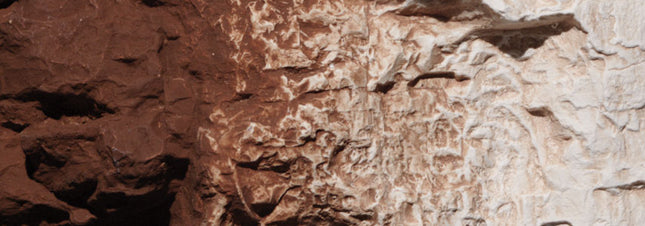 Woodland Scenics 1222 Burnt Umber Earth Colors Liquid Pigment
