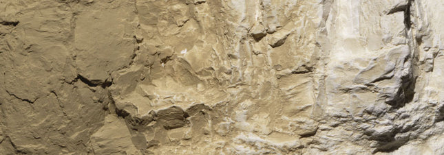 Woodland Scenics 1223 Yellow Ocher Earth Colors Liquid Pigment