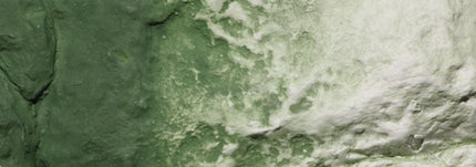 Woodland Scenics 1228 | Green Undercoat Earth Colors 8 oz