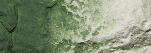 Woodland Scenics 1228 | Green Undercoat Earth Colors 8 oz
