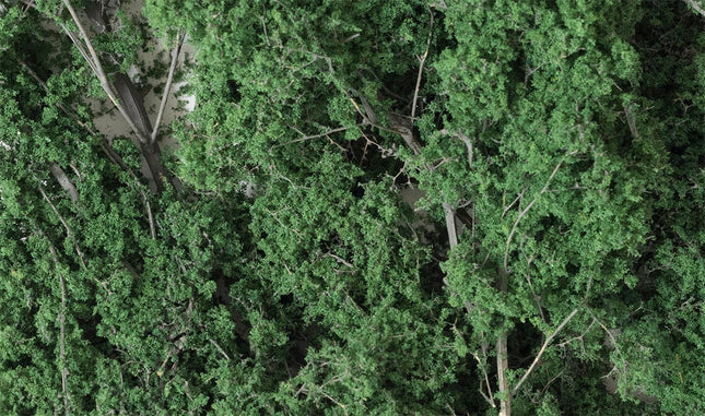 Woodland Scenics 1130 | Fine-Leaf Foliage Dark Green