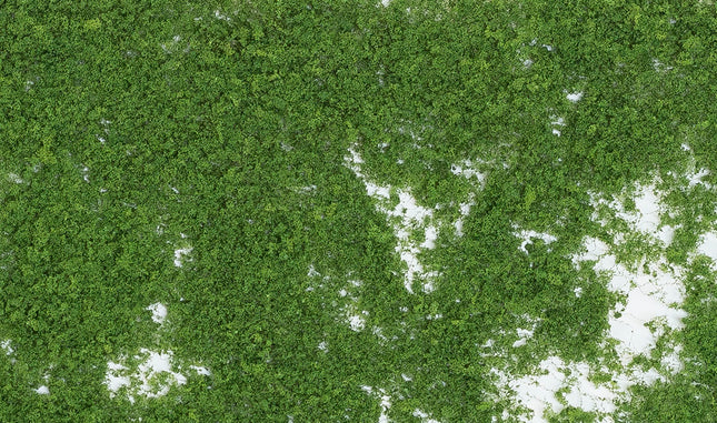 Woodland Scenics 52 | Foliage Medium Green