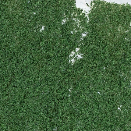 Woodland Scenics 53 | Foliage Dark Green