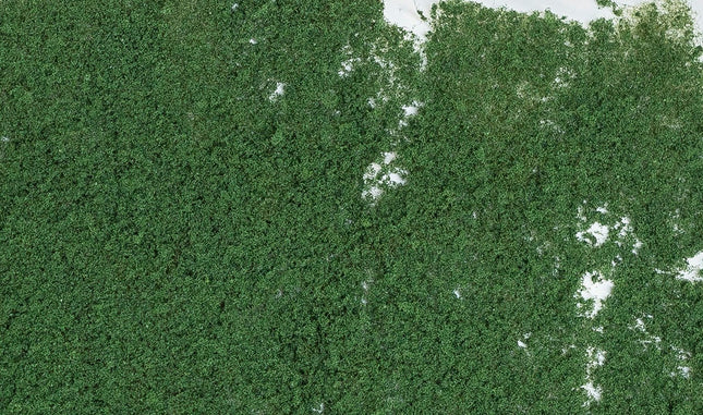 Woodland Scenics 53 | Foliage Dark Green