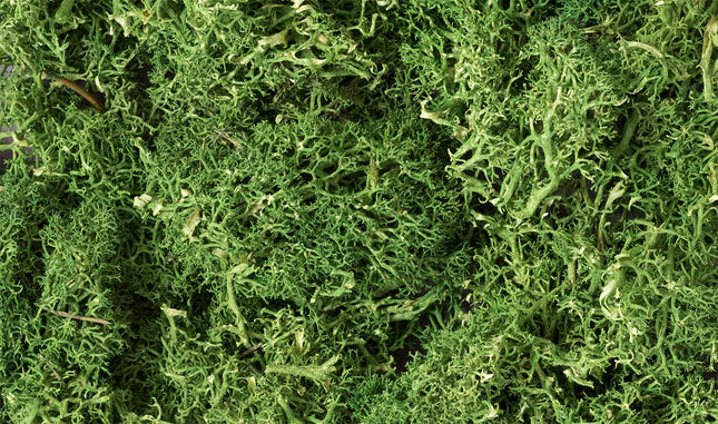 Woodland Scenics 163 | Lichen Medium Green - 1.5 qt Bag