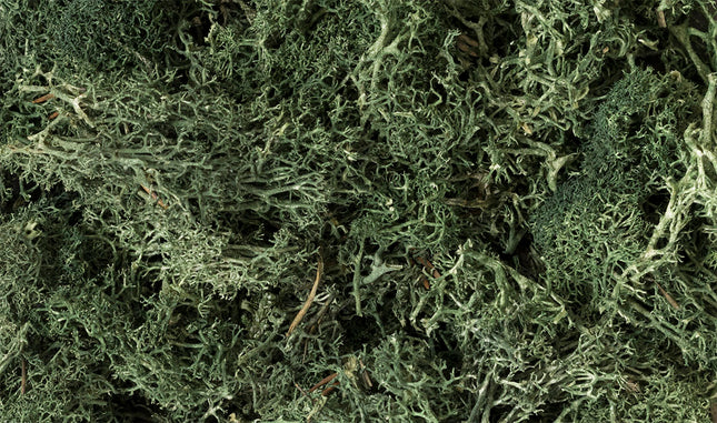 Woodland Scenics 164 | Lichen Dark Green - 1.5 qt Bag