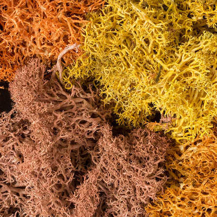 Woodland Scenics 165 | Lichen Autumn Mix - 1.5 qt Bag
