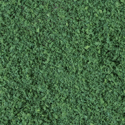 Woodland Scenics 65 | Coarse Turf Dark Green Bag