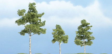 Woodland Scenics TR1605 Paper Birch Premium Tree Multi Scale