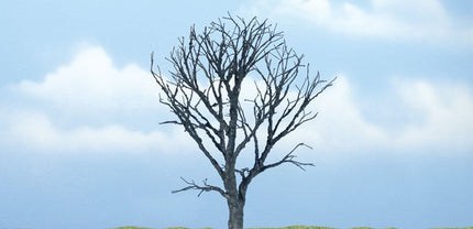 Woodland Scenics TR1614 Dead Maple Premium Tree Multi Scale