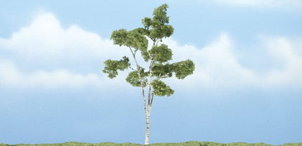 Woodland Scenics TR1616 Paper Birch Premium Tree Multi Scale