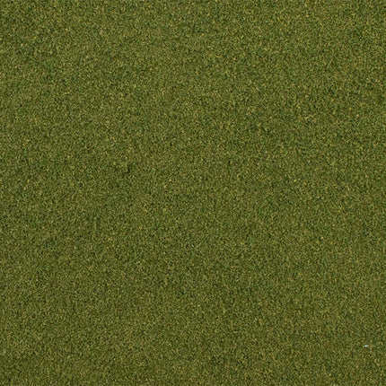 Woodland Scenics / All Game Terrain 6421 | Base Layer - Green | Multi Scale - Squeaky's Trains