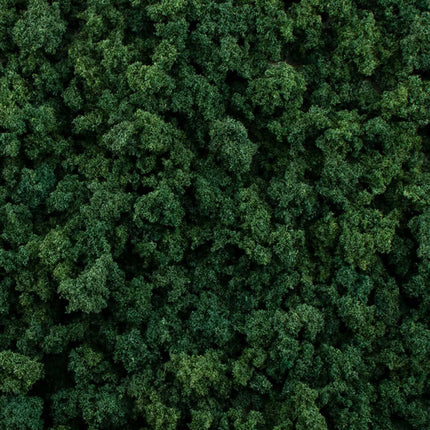 Woodland Scenics / All Game Terrain 6463 | Foliage Clumps - Dark Green | Multi Scale - Squeaky's Trains