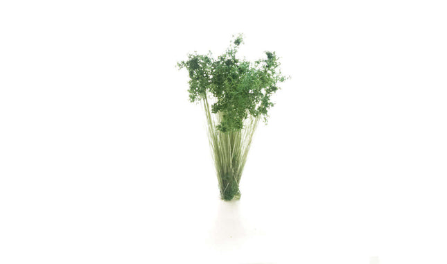 Woodland Scenics / All Game Terrain 6632 | Peel 'n' Plant Tufts - Dark Green Shrubs | Multi Scale - Squeaky's Trains