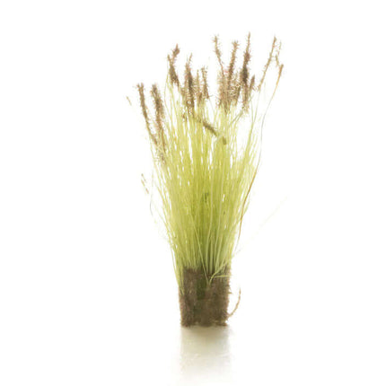 Woodland Scenics / All Game Terrain 6633 | Peel 'n' Plant Tufts - Cattails | Multi Scale - Squeaky's Trains