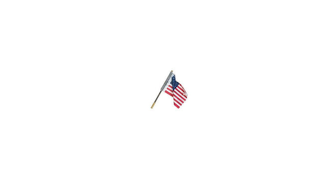 Woodland Scenics 5953 | Just Plug Lighting System - Small US Flag - Wall Mount | Multi Scale - Squeaky's Trains