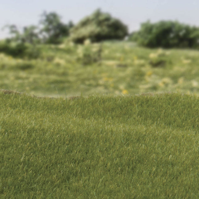 Woodland Scenics 613 | Static Grass Dark Green 2mm | Multi Scale - Squeaky's Trains