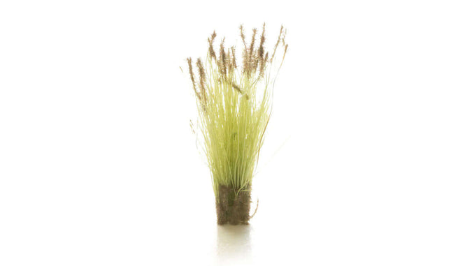 Woodland Scenics / All Game Terrain 6633 | Peel 'n' Plant Tufts - Cattails | Multi Scale