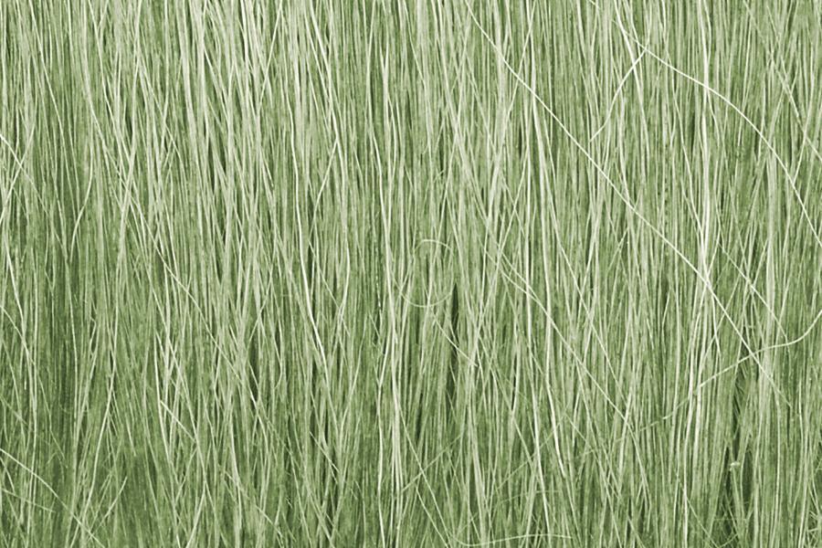 Woodland Scenics 173 | Field Grass Light Green | Multi Scale
